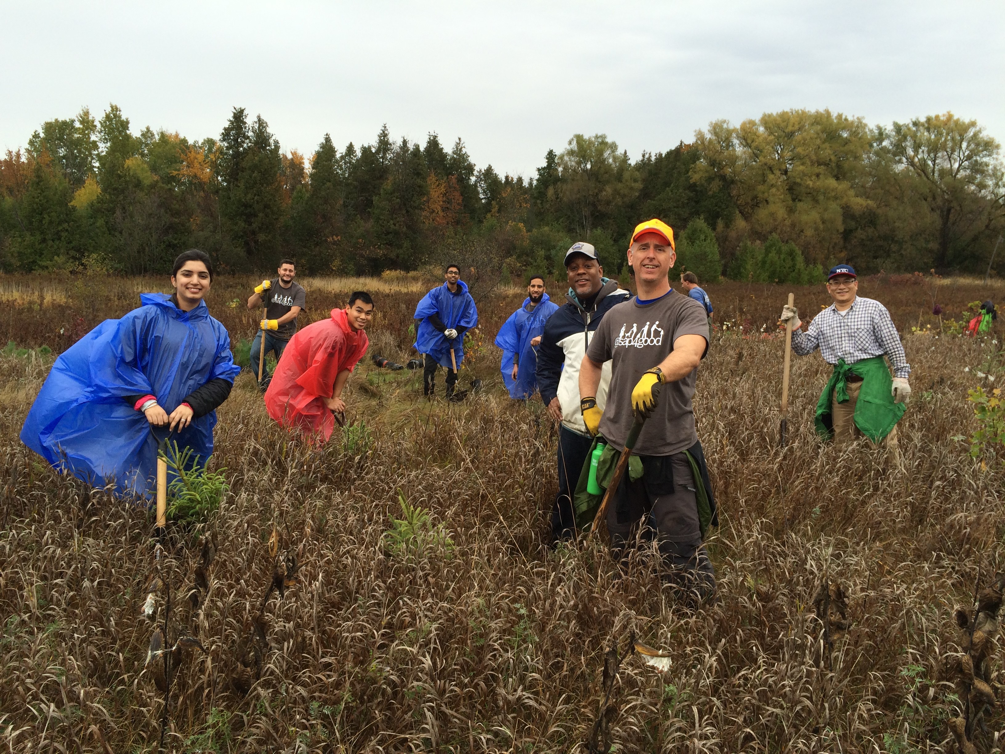 SAP Canada employees planting trees with Ontario Streams
